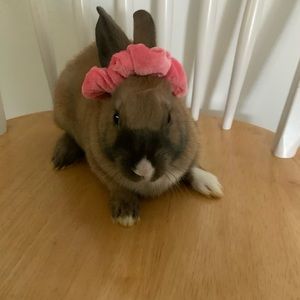 Meet your Posher, Beatriz